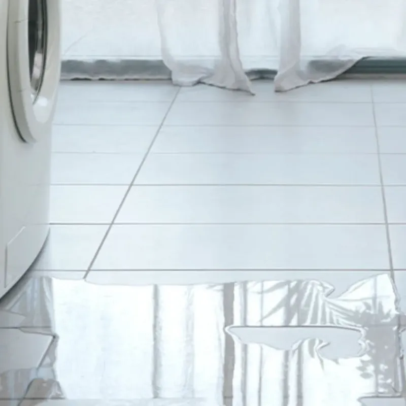 Appliance Leak Cleanup in Springfield, NE