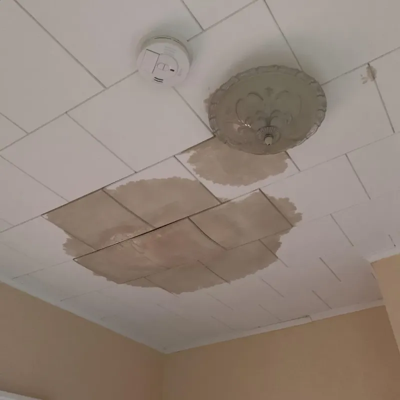 Ceiling Water Damage Repair in Springfield, NE