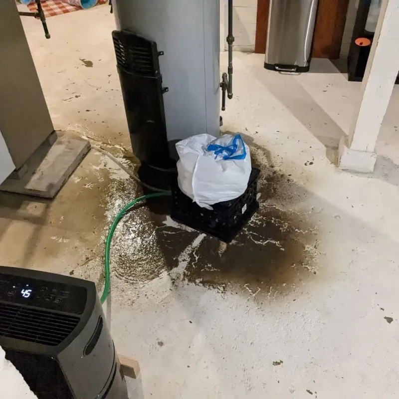 Sewage Backup Cleanup Service in Springfield, NE